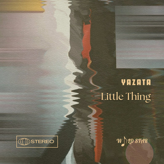 Little Thing - 7" Vinyl